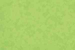 Линолеум Taralay Premium Osmoz 4527 Bamboo фото  | FLOORDEALER